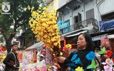 Hàng Mã rực đỏ ngày giáp Tết